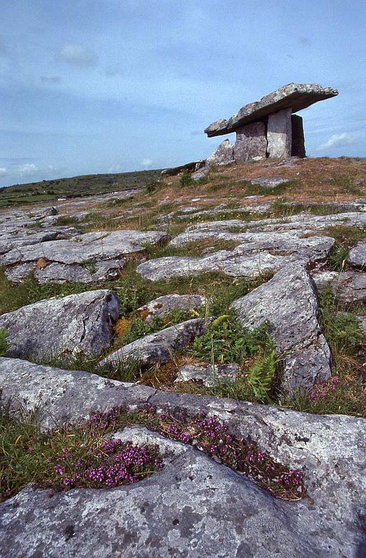 WT 2900 342-02 Ireland The Burrin.jpg